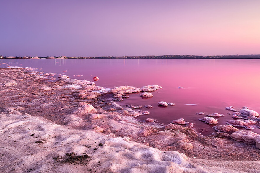 Parcul Natural al Lagunelor La Mata și Torrevieja